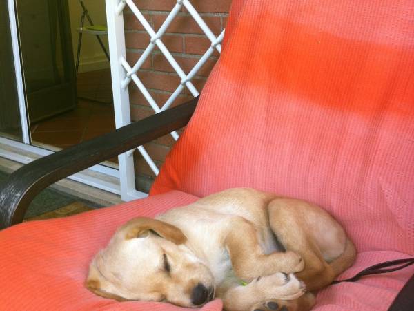 Domki letniskowe Chabrowa 1