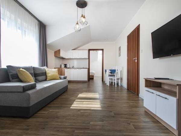 salon z aneksem kuchennym