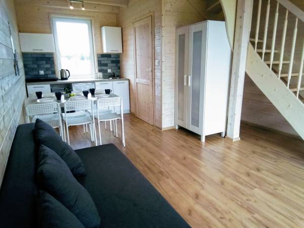 Salon z aneksem kuchennym