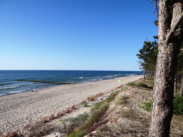 Domki letniskowe Wikar 