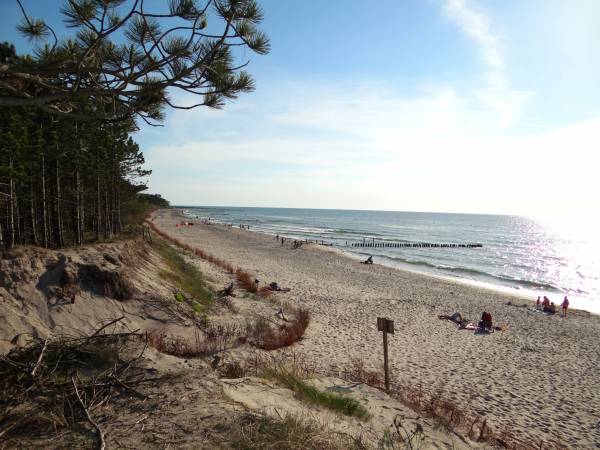 Domki letniskowe Wikar 