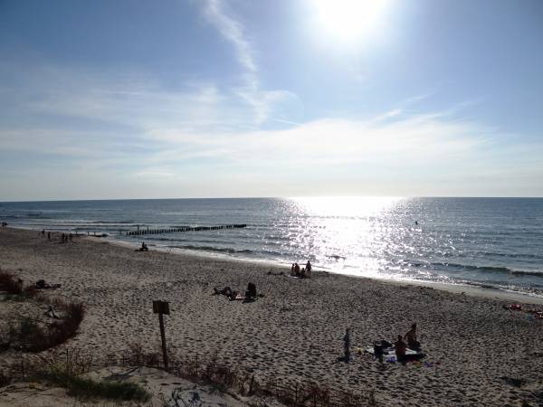 Domki letniskowe Wikar 