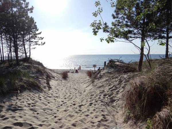 Domki letniskowe Wikar 