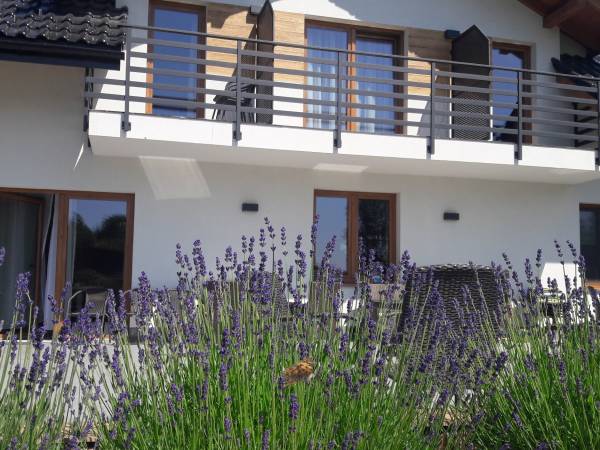 Villa Natura Zator Przeciszów