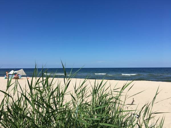 Morska Osada Pleśna