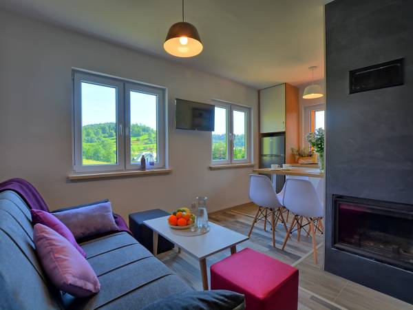 Salon połączony z kuchnią w domku 1,2,4