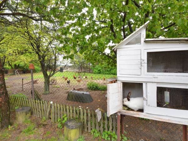 Gospodarstwo Agroturystyczne KAJA, Urszula Janoska