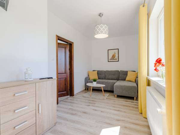 Apartament - salon (rozkładana sofa 2-osobowa)