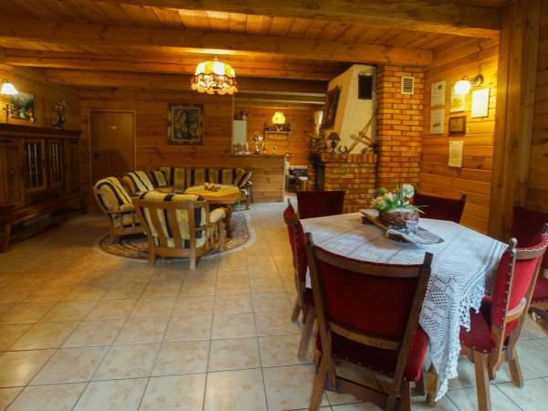 salon z kominkiem i TV