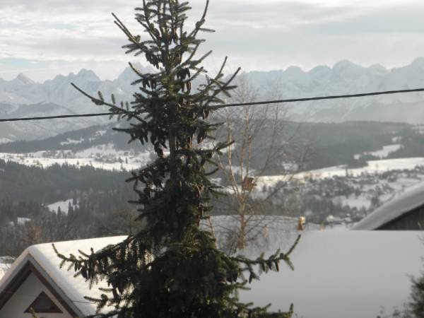 Widok z okna pokoju nr 2