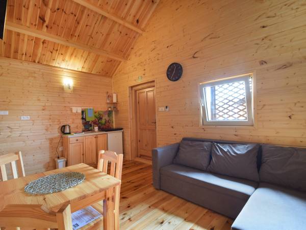 Salon z aneksem kuchennym