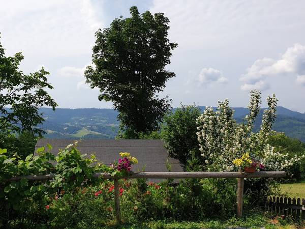 Domek - Agroturystyka pod Lipą