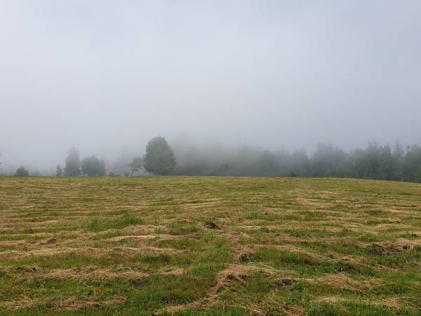 Domek - Agroturystyka pod Lipą