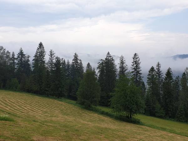 Domek - Agroturystyka pod Lipą