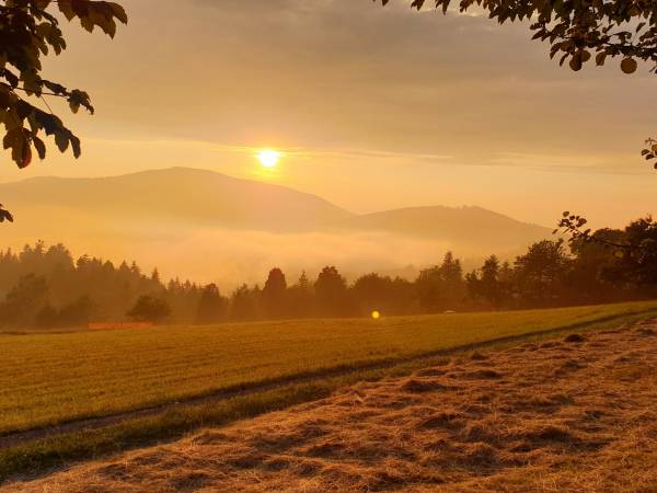 Domek - Agroturystyka pod Lipą