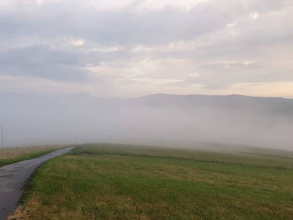 Domek - Agroturystyka pod Lipą