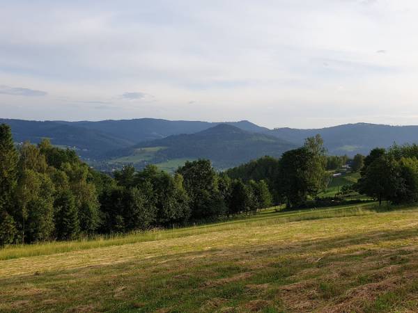 Domek - Agroturystyka pod Lipą