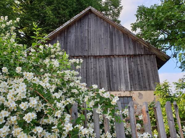 Domek - Agroturystyka pod Lipą