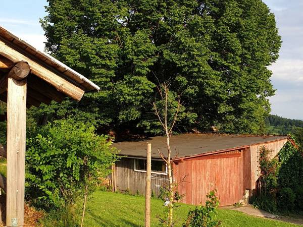 Domek - Agroturystyka pod Lipą