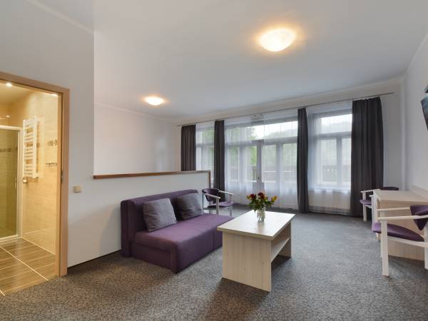 Pokój DeLux z tarasem.