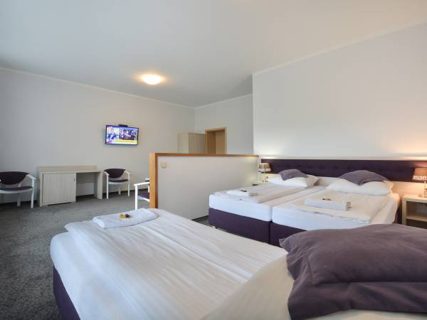 Pokój DeLux z tarasem