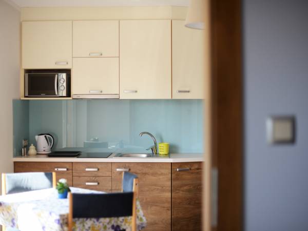 Apartament nr 1 - aneks kuchenny