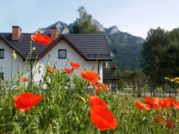Domki widok z tyłu.
