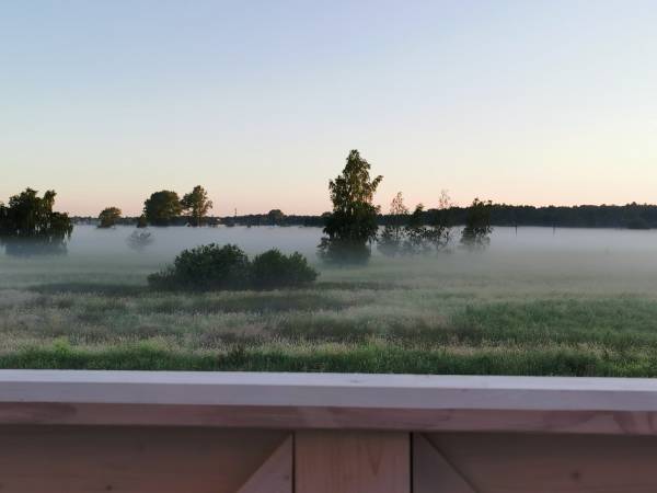 Widok z balkonu - Apartament Dzikość Północy