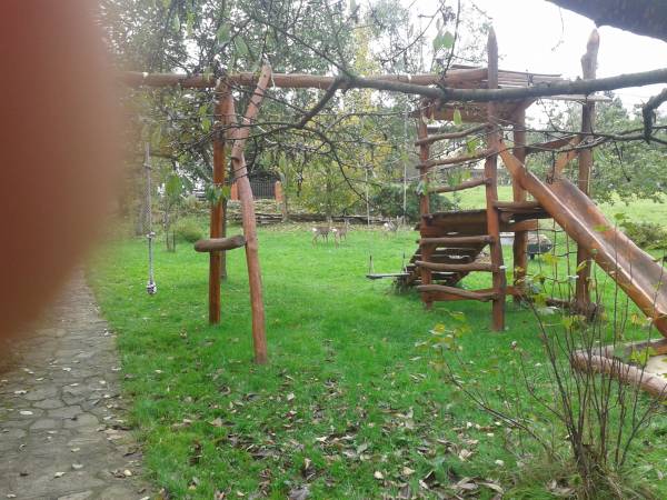 Sarenki lubią nasz plac zabaw