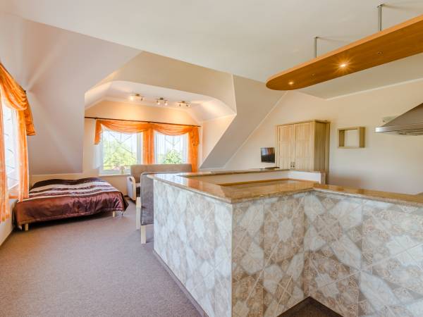 studio z aneksem kuchennym