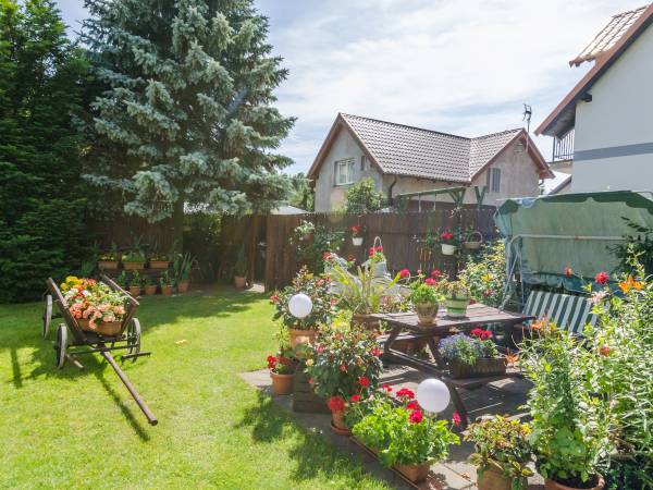 Domki całoroczne z kominkami i sauną i Apartamenty Grześ/Promyk Edenu