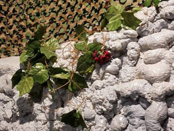 Tajemniczy Pokój, Dawid Misiak