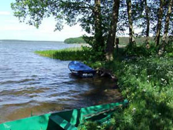 Dwa całoroczne domki w Karwicy