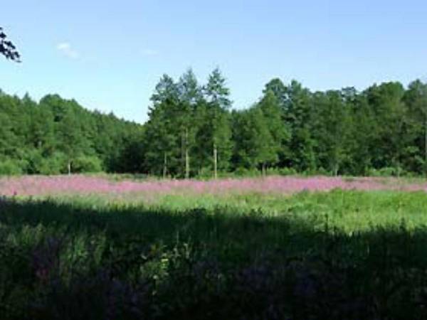 Dwa całoroczne domki w Karwicy