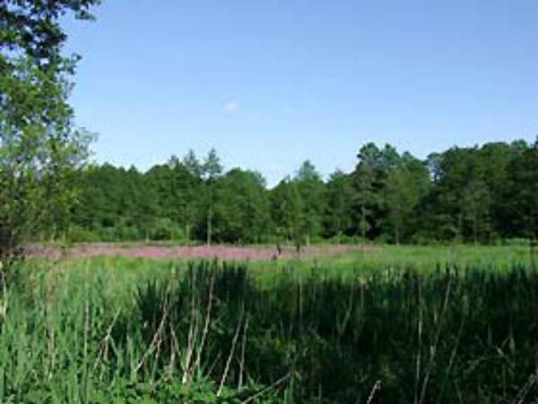 Dwa całoroczne domki w Karwicy