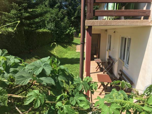 W Zaciszu Solina -noclegi 