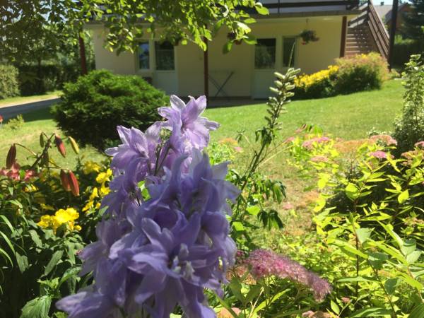 W Zaciszu Solina -noclegi 