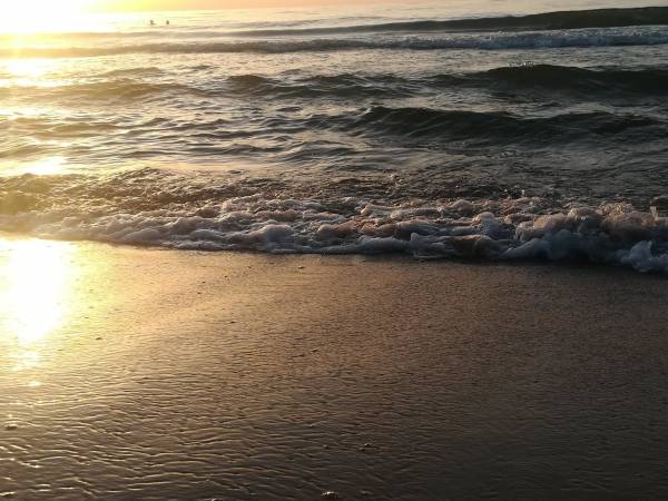 Plaża w Dziwnówku jest szeroka i czysta a piasek na niej jest drobny i żółty.