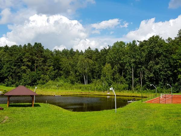 Domki nad jeziorem Ołów z własnym stawem 