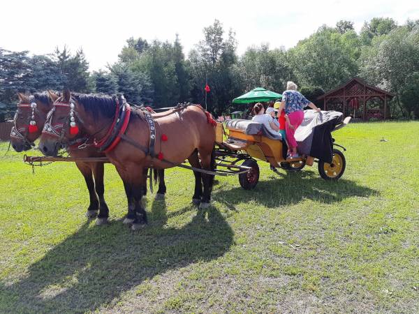 Przejażdżka bryczka konną