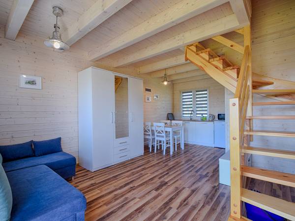 Salon z aneksem kuchennym