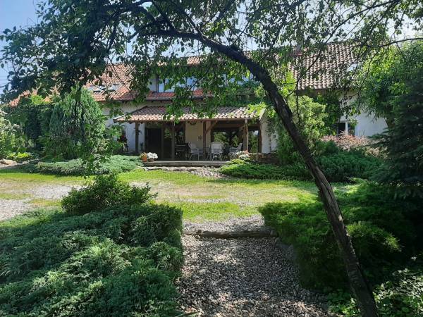 widok z tarasu w sadzie