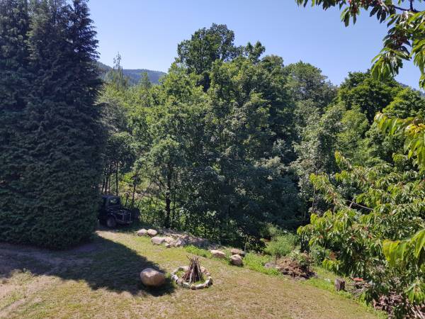 Ogród miejsce do robienia ogniska