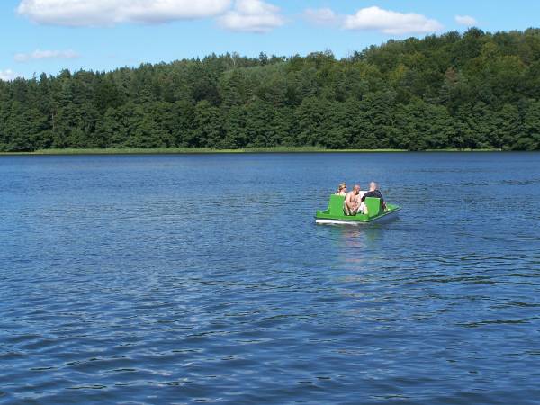 Domki Marzeń nad jeziorem 