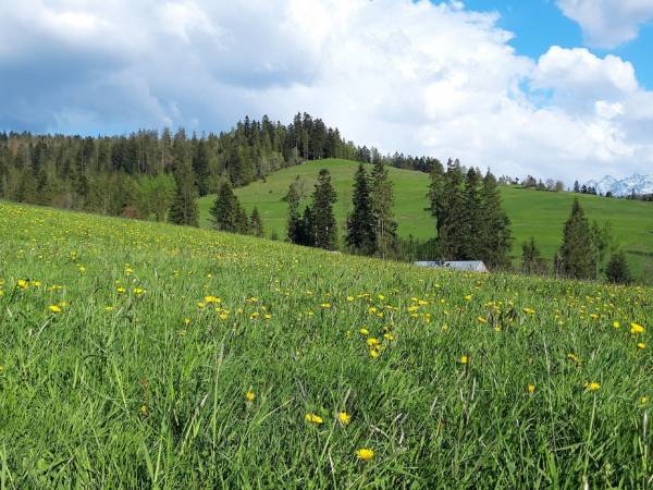 Pokoje u Danuty Łukaszczyk
