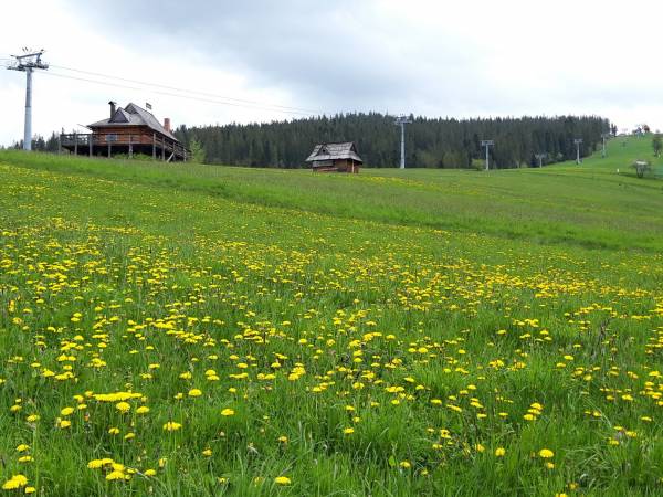 DLA MIŁOŚNIKÓW SPACERÓW:)