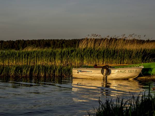 jezioro Necko, 10 min spacerkiem od obiektu