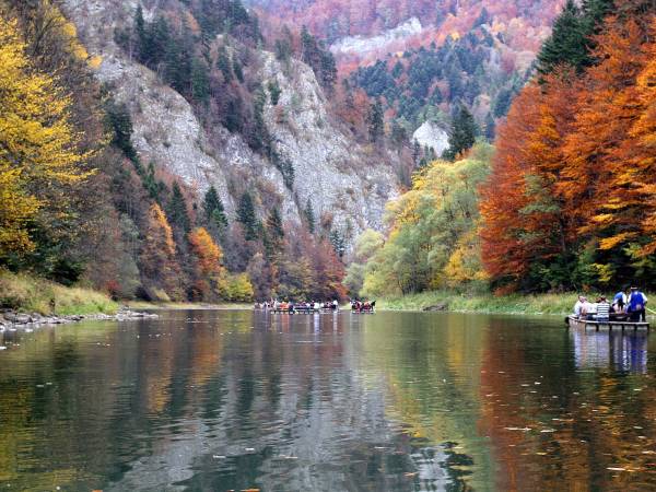 Całoroczne domki w górach "ALEKSANDER"