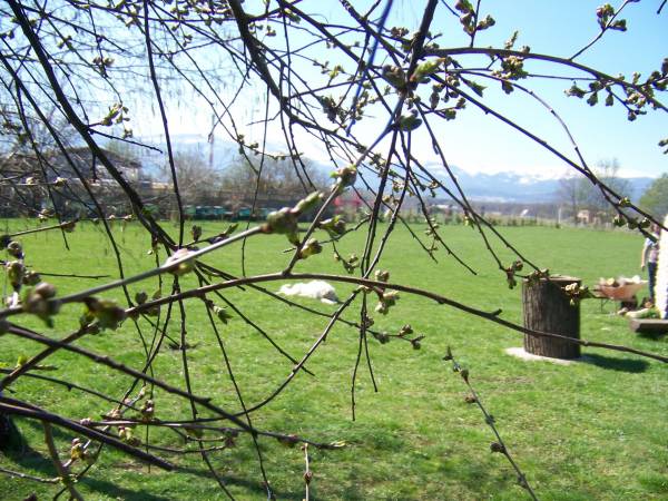 Agroturystyka Sielana