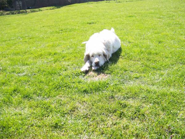 Agroturystyka Sielana